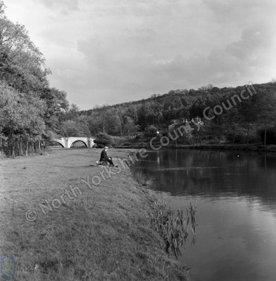Fishing, River Derwent, Kirkham Abbey